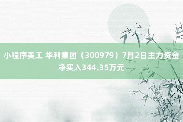 小程序美工 华利集团（300979）7月2日主力资金净买入344.35万元